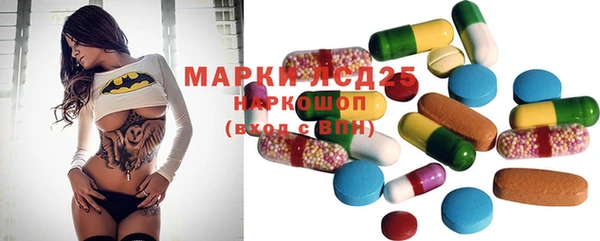 2c-b Новозыбков
