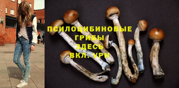 эйфоретик Баксан