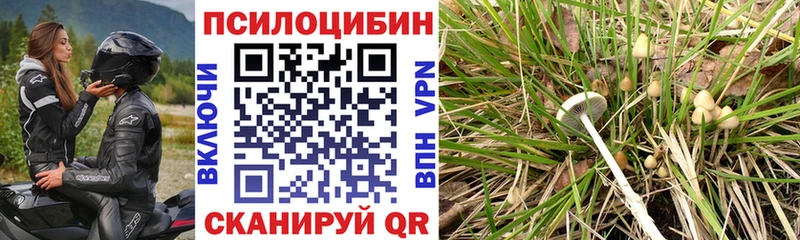 Псилоцибиновые грибы Psilocybine cubensis  наркошоп  KRAKEN онион  Питкяранта 
